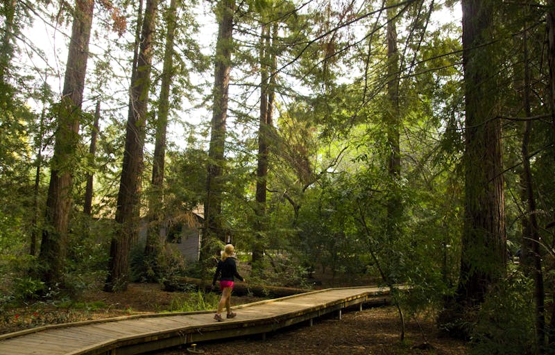 Los Altos High Weekend Sherpa