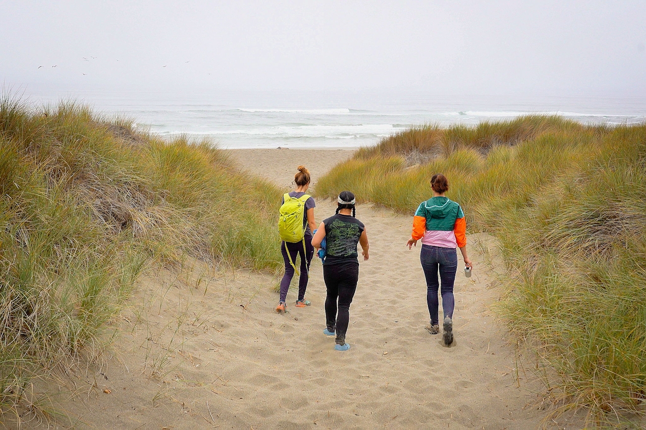 Hike from Bodega Head to Salmon Creek Beach on the Sonoma Coast 