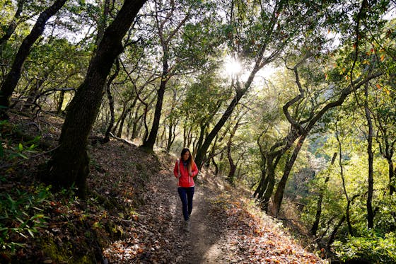 Hike Olompali State Historic Park 