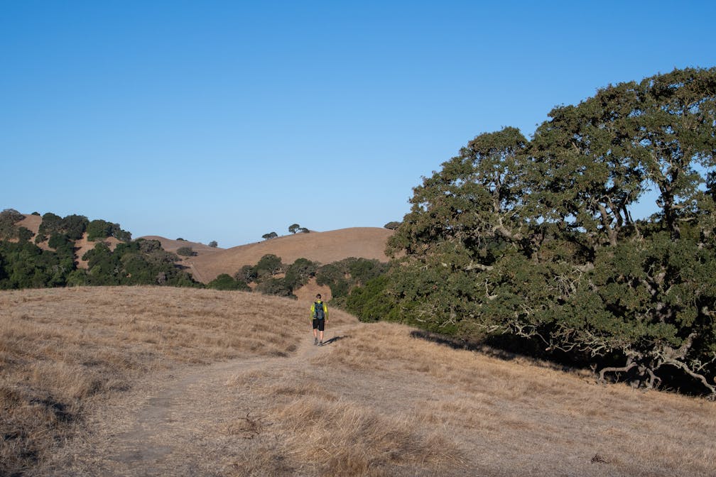 Hiker at Fernandez Ranch in the East Bay 
