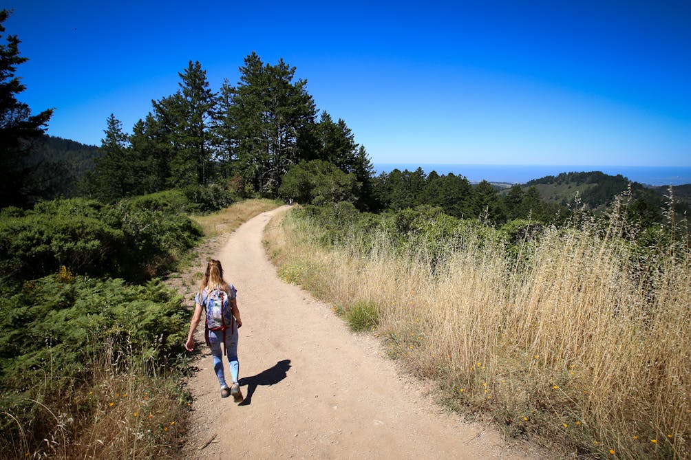 Hike Purisima Creek Redwoods