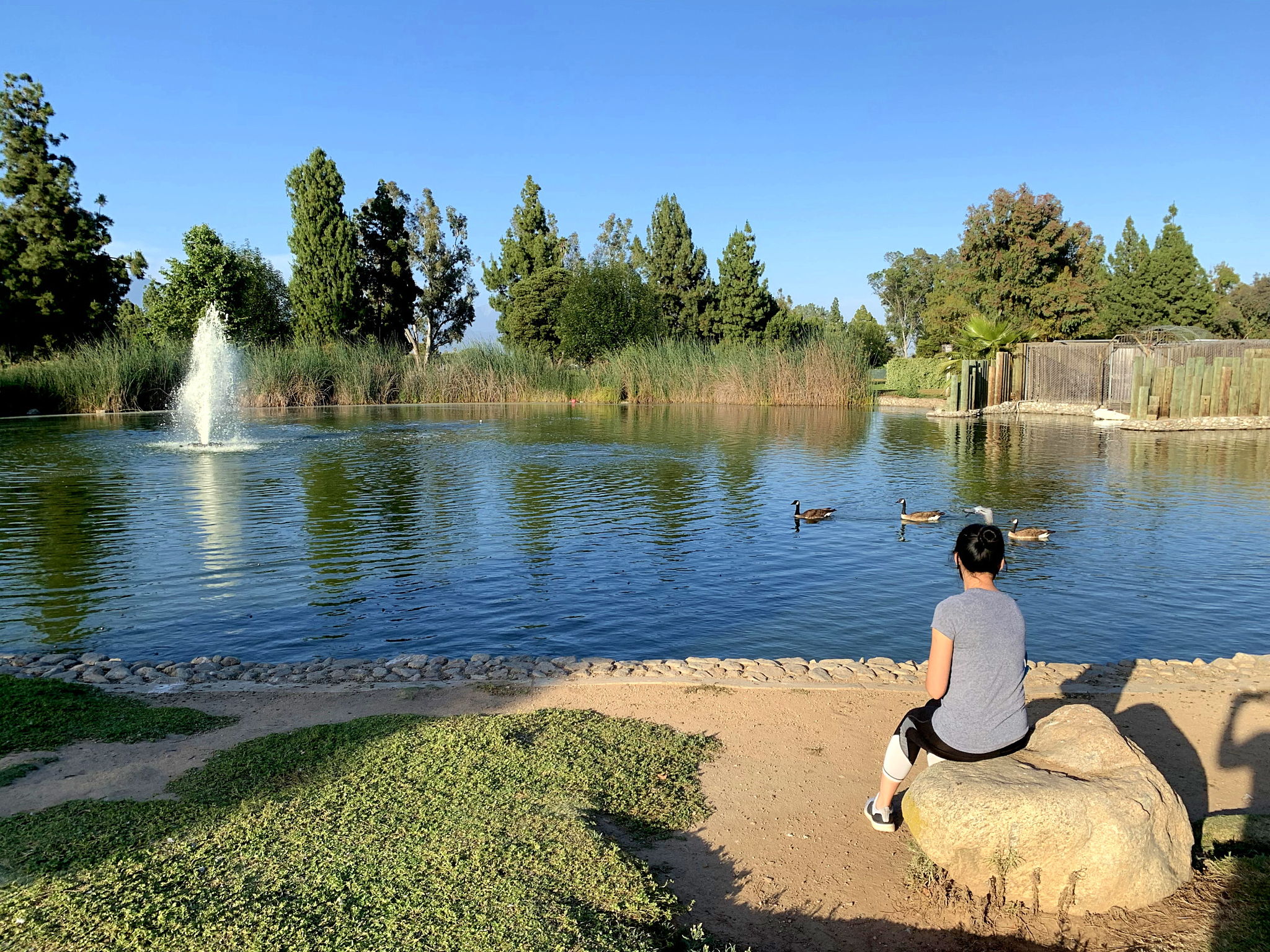 Urban Hike in LA County 