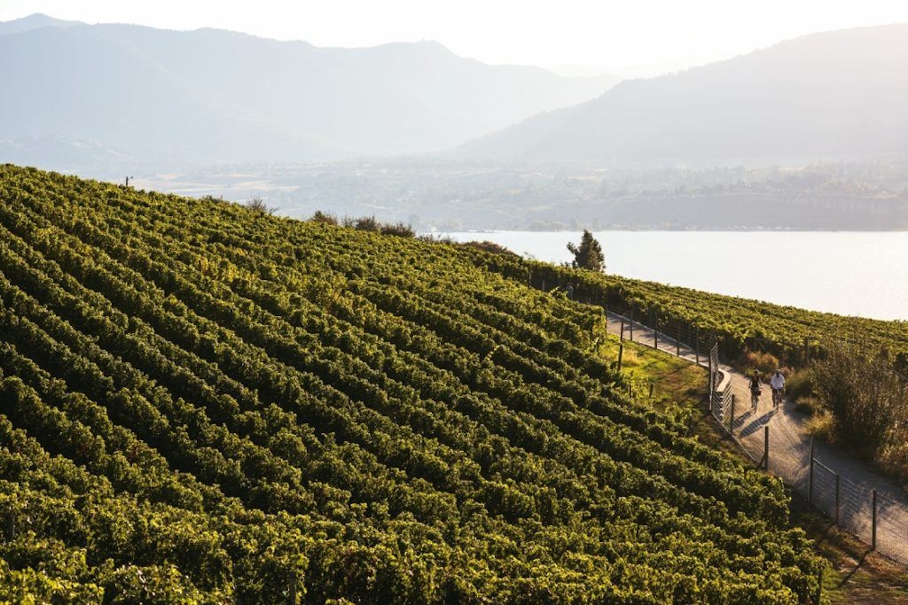 Wine touring by bike along the Kettle Valley Railway 