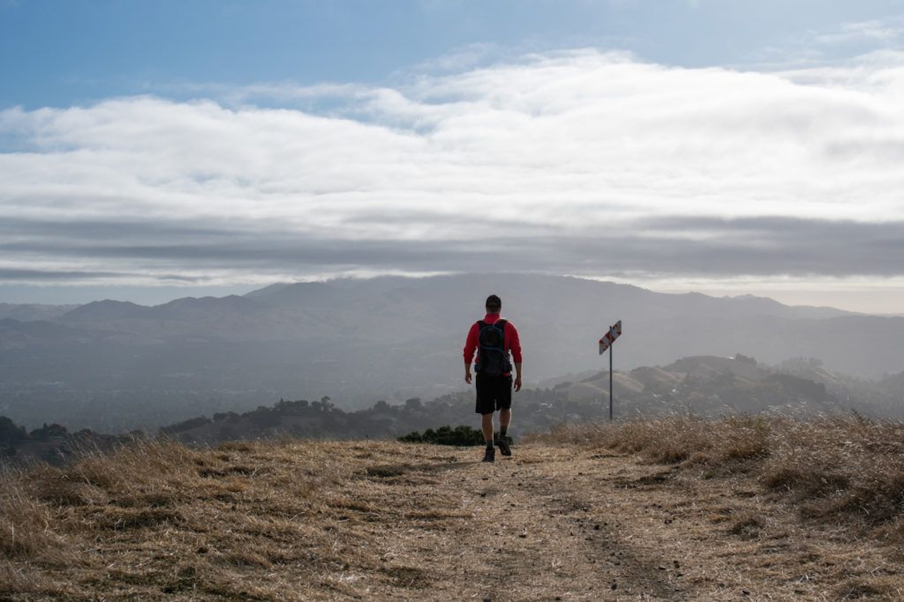 Hike Briones Regional Park in the East Bay 