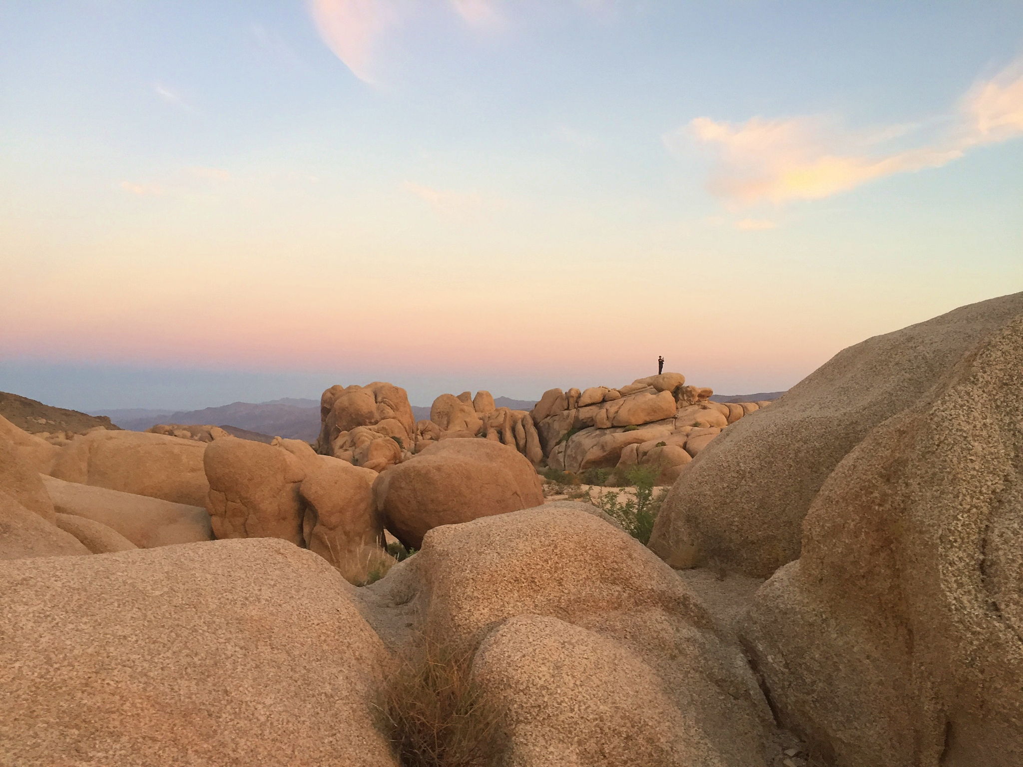 White Tank Campground Joshua Tree