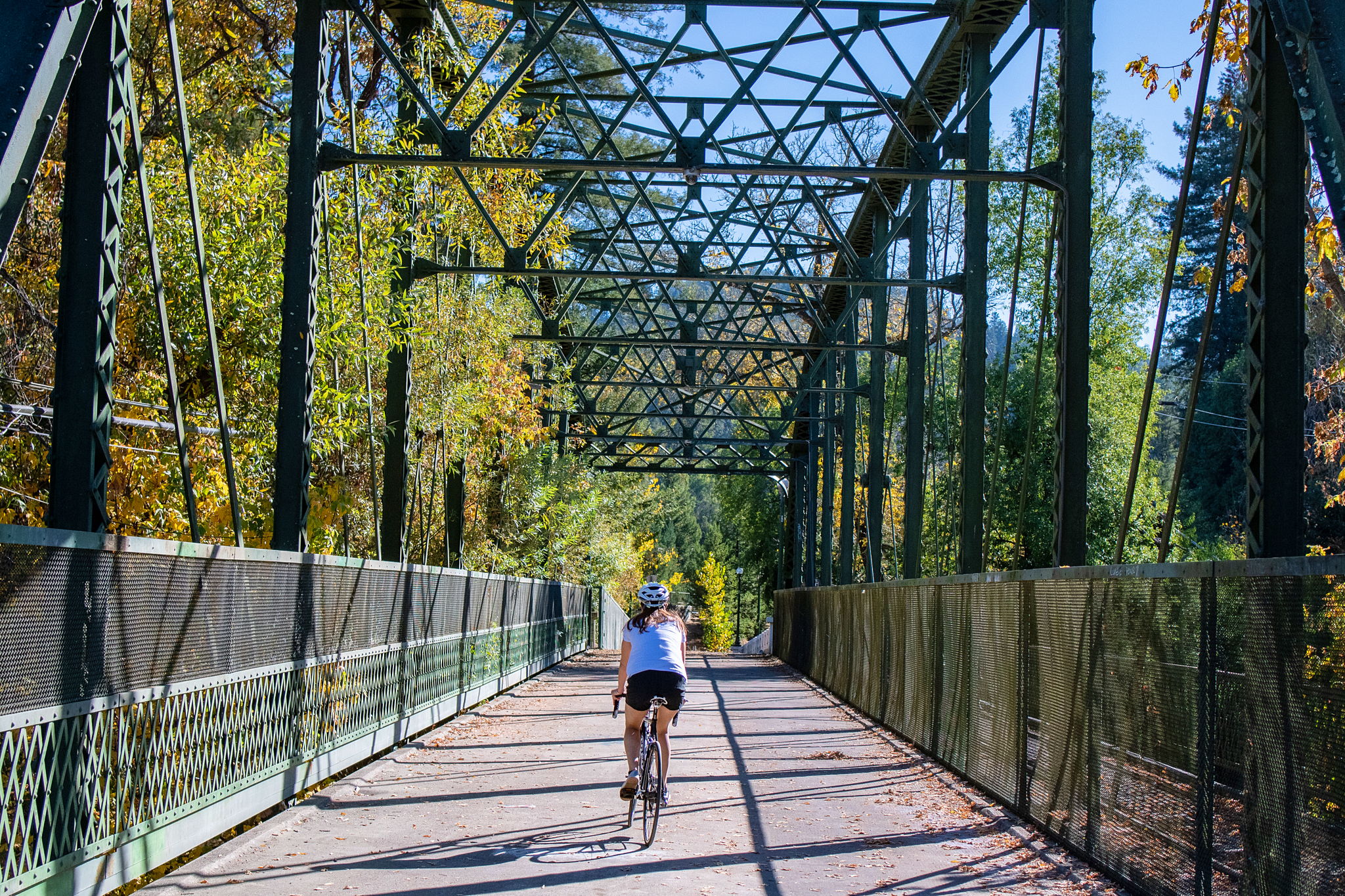 Biking to Wineries in the Russian River region 