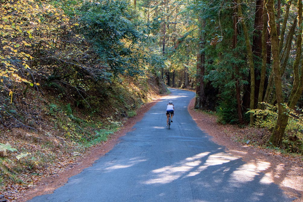 Bike through redwoods to wineries in Russian River