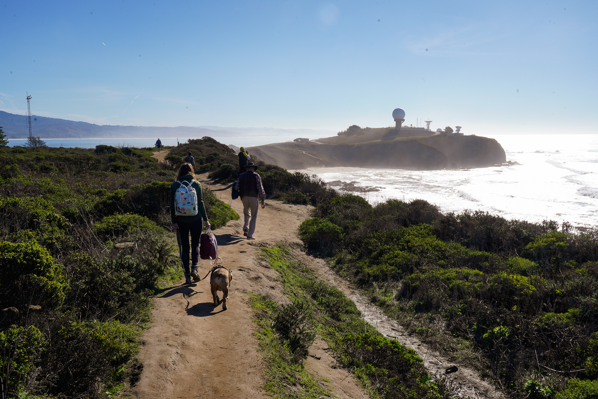 Woman hiking Pillar Point Bluff with her dog on the trail