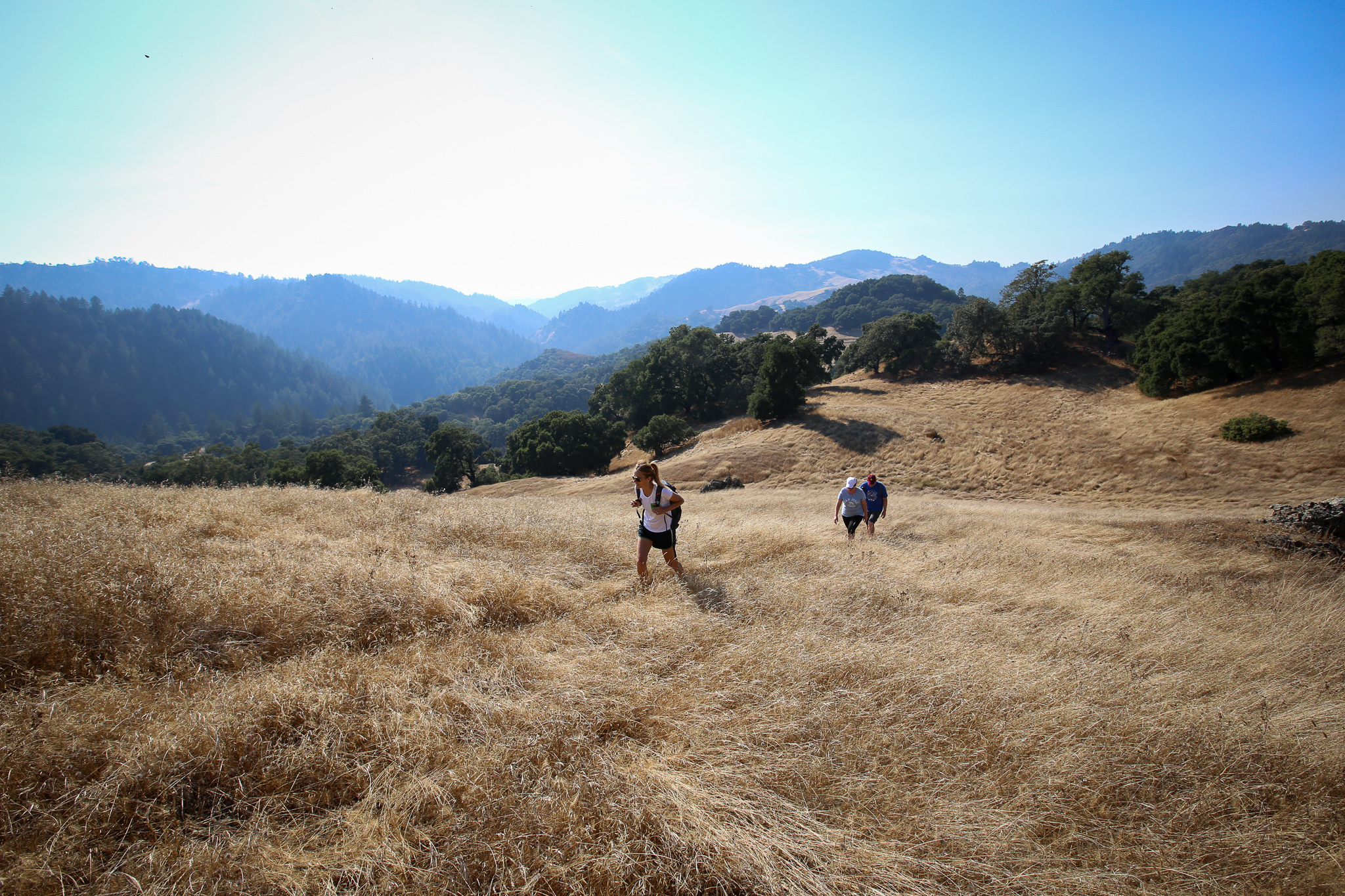 Bay Area Ridgetop Hikes and Bike Rides