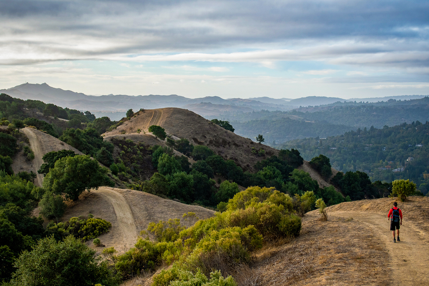 Briones Regional Park hike in autumn
