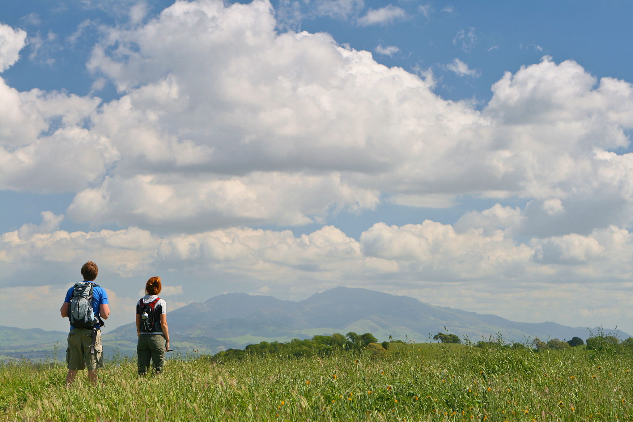 Hike Mount Wanda Nature Preserve in Martinez