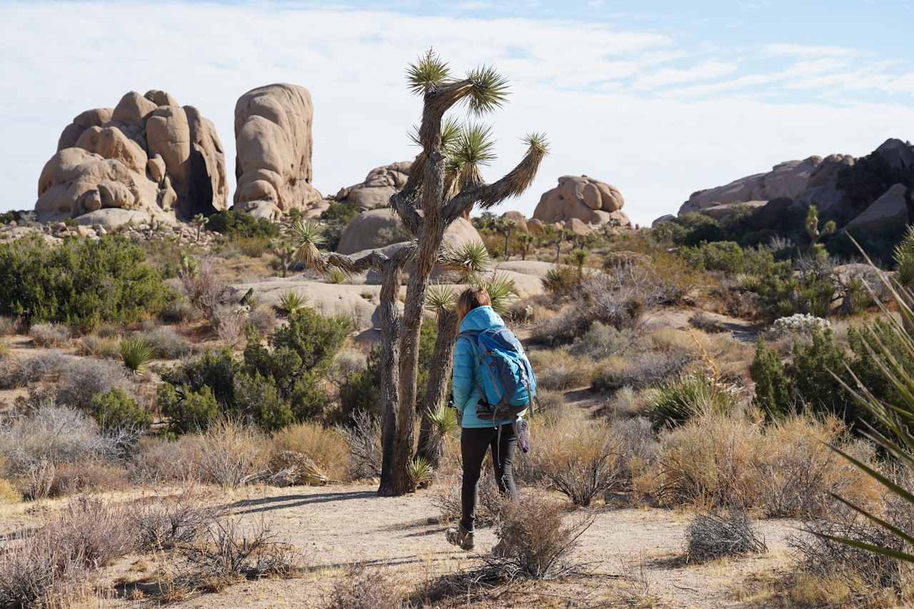 Hike Split Rock Trail at Joshua Tree National Park 