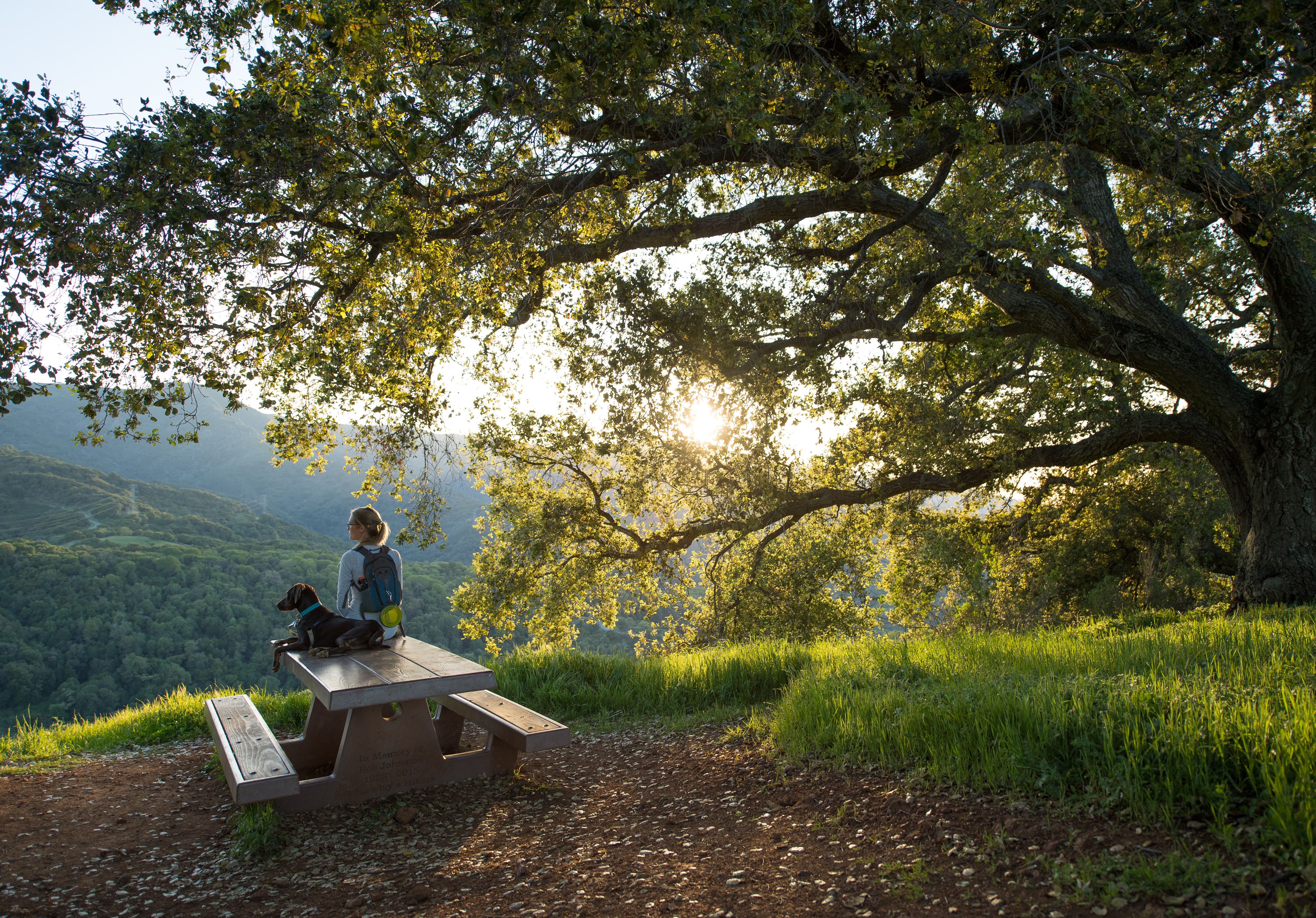 11 Easy Summer Escapes in the Bay Area