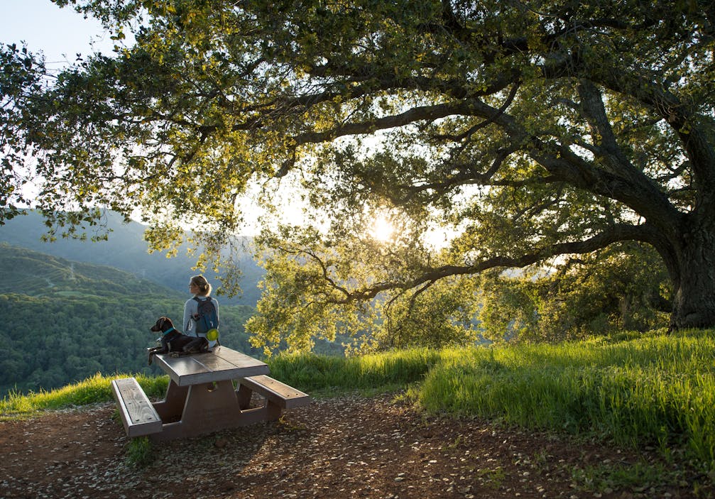 11 Easy Summer Escapes in the Bay Area