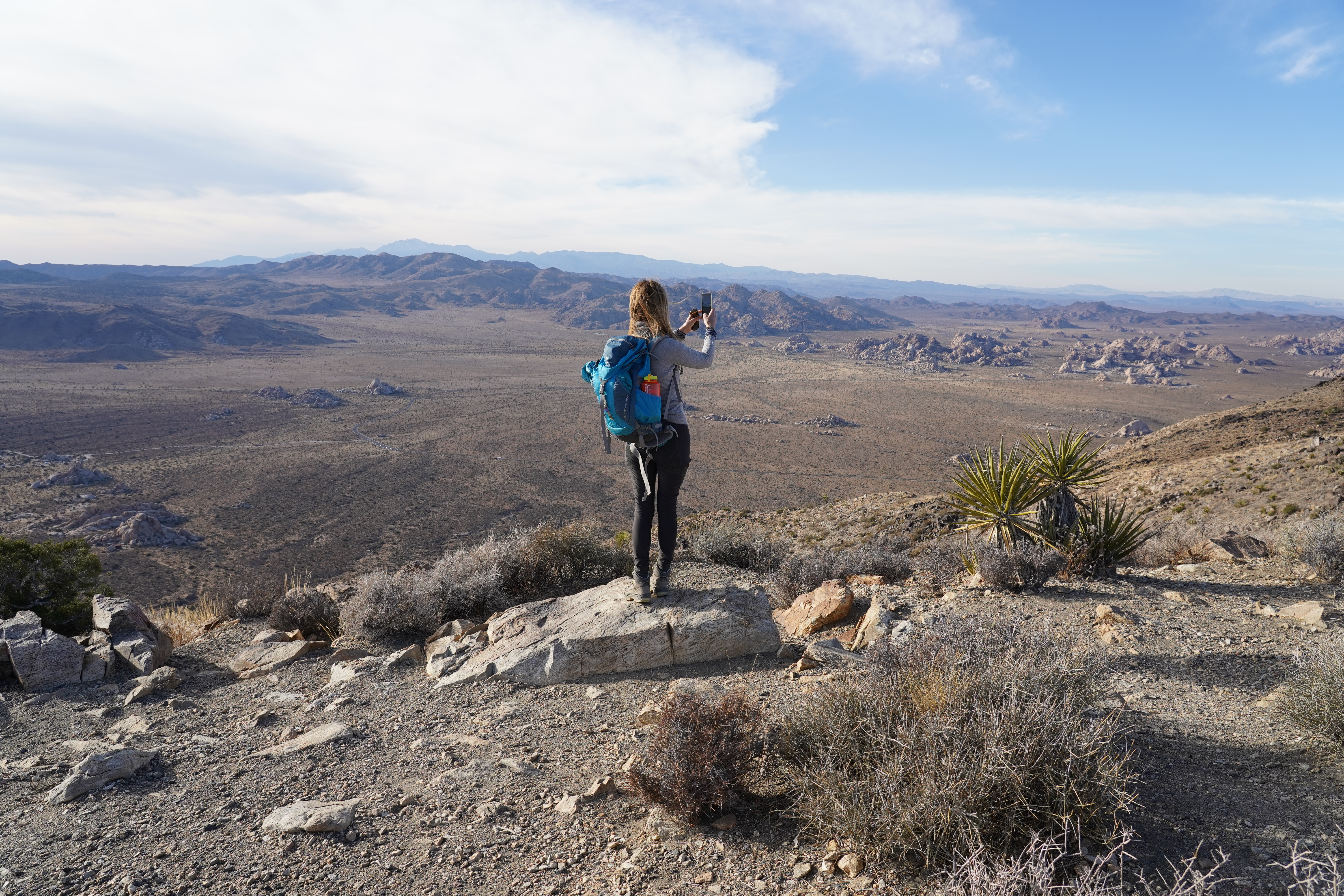 Hike to Ryan Mountain Joshua Tree National Park