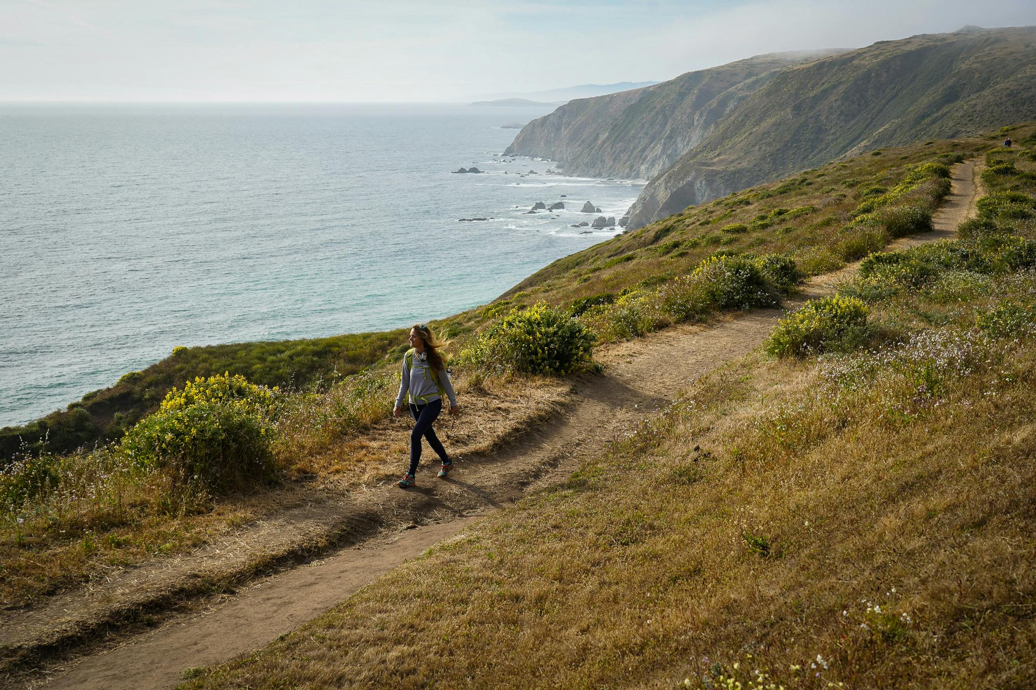 Hike Tomales Point Trail in Point Reyes National Seashore