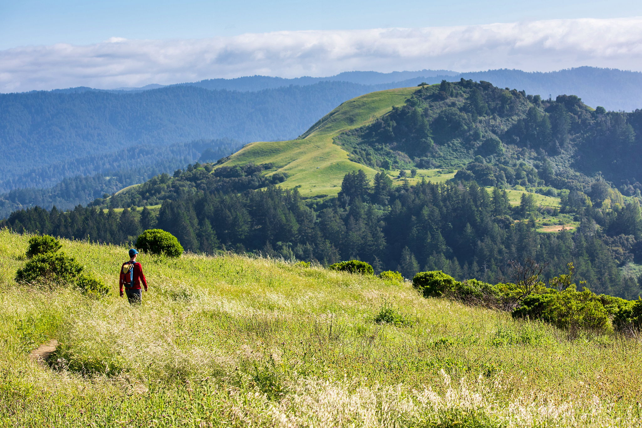 Man hiking at Russian Ridge Open Space 