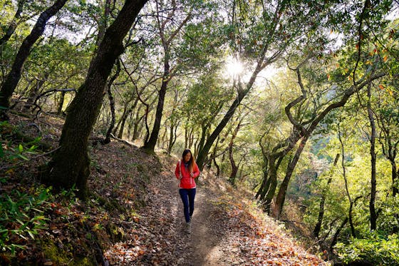 Hike Olompali State Historic Park 