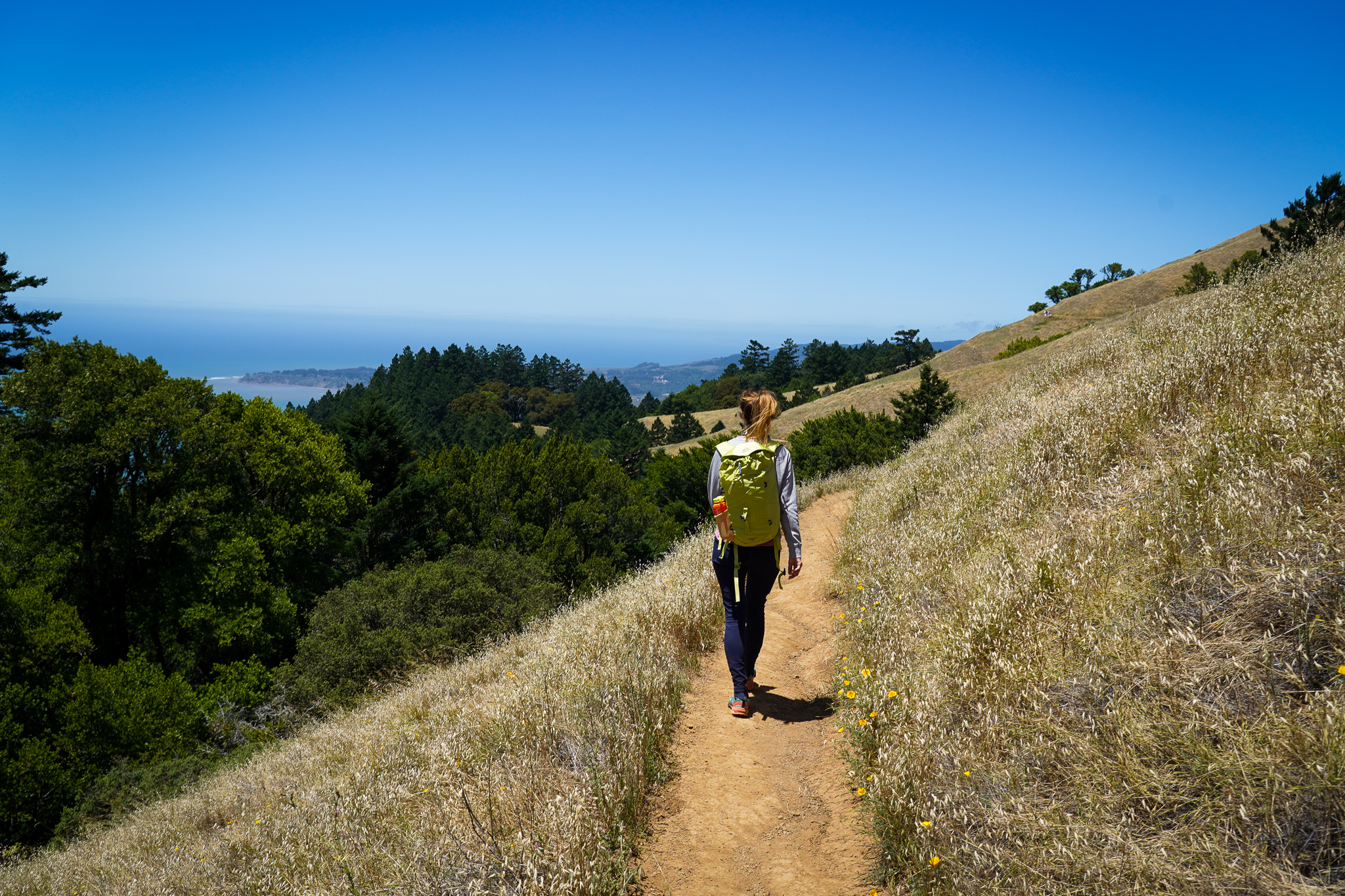 Hike Mount Tam Stinson Beach Matt Davis Dipsea Trail