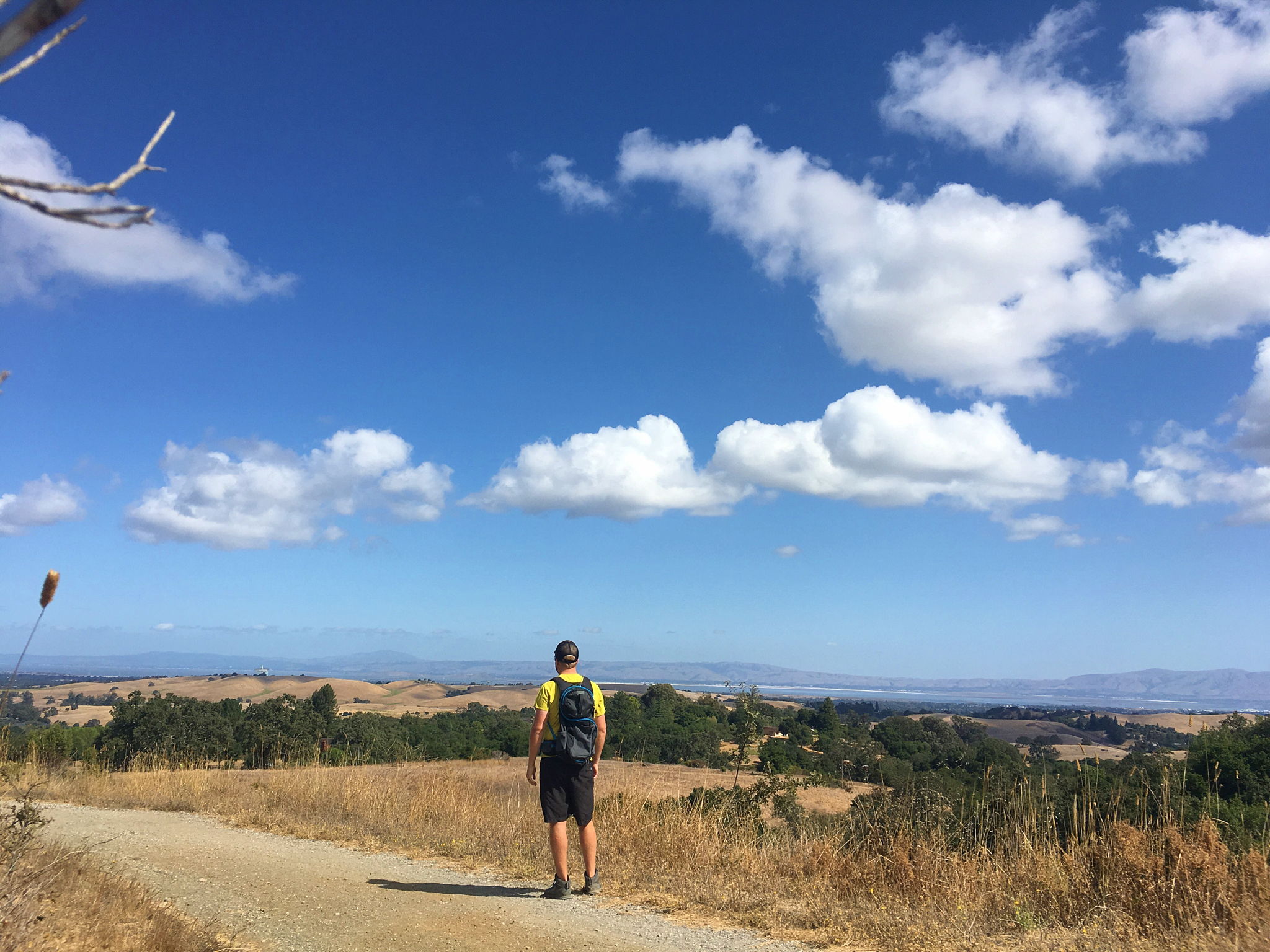 Pearson Arastradero South Bay hike