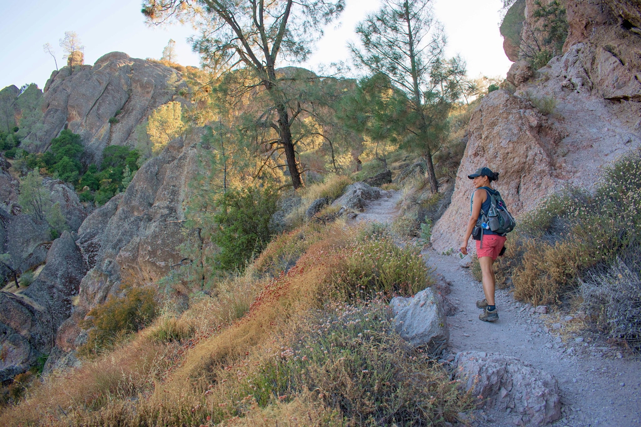 Hike Bear Gulch Cave Pinnacles