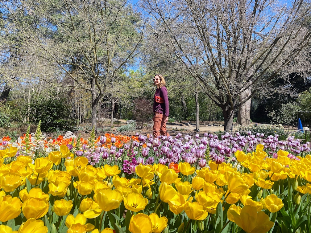 A woman stands amid an array of yellow and purple flowers at Descanso Gardens in Los Angeles