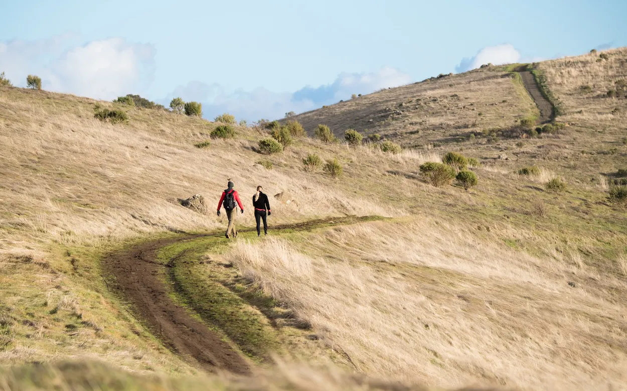 Hikers looking out over a California landscape