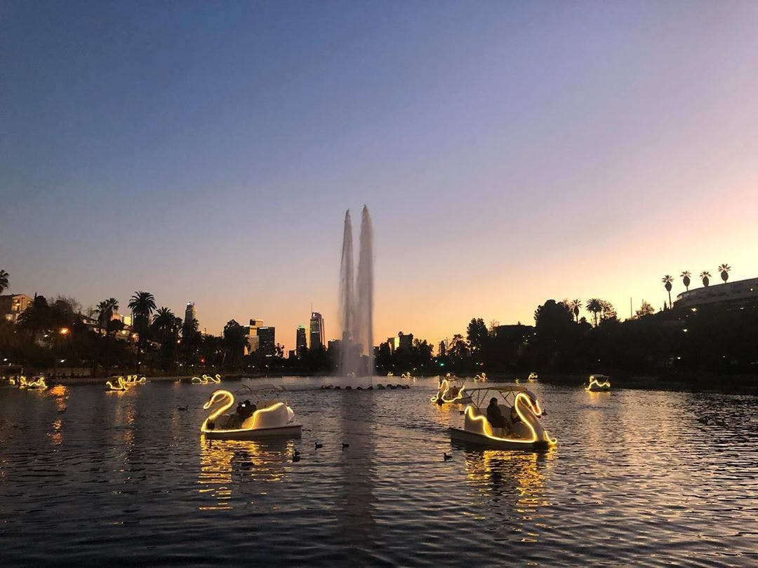 Swan Pedal Boats alight on Echo Park Lake