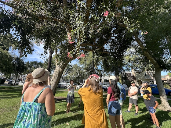 People gathered around a tree at an LA Park as part of the Tree Tour led by Stephanie Carrie
