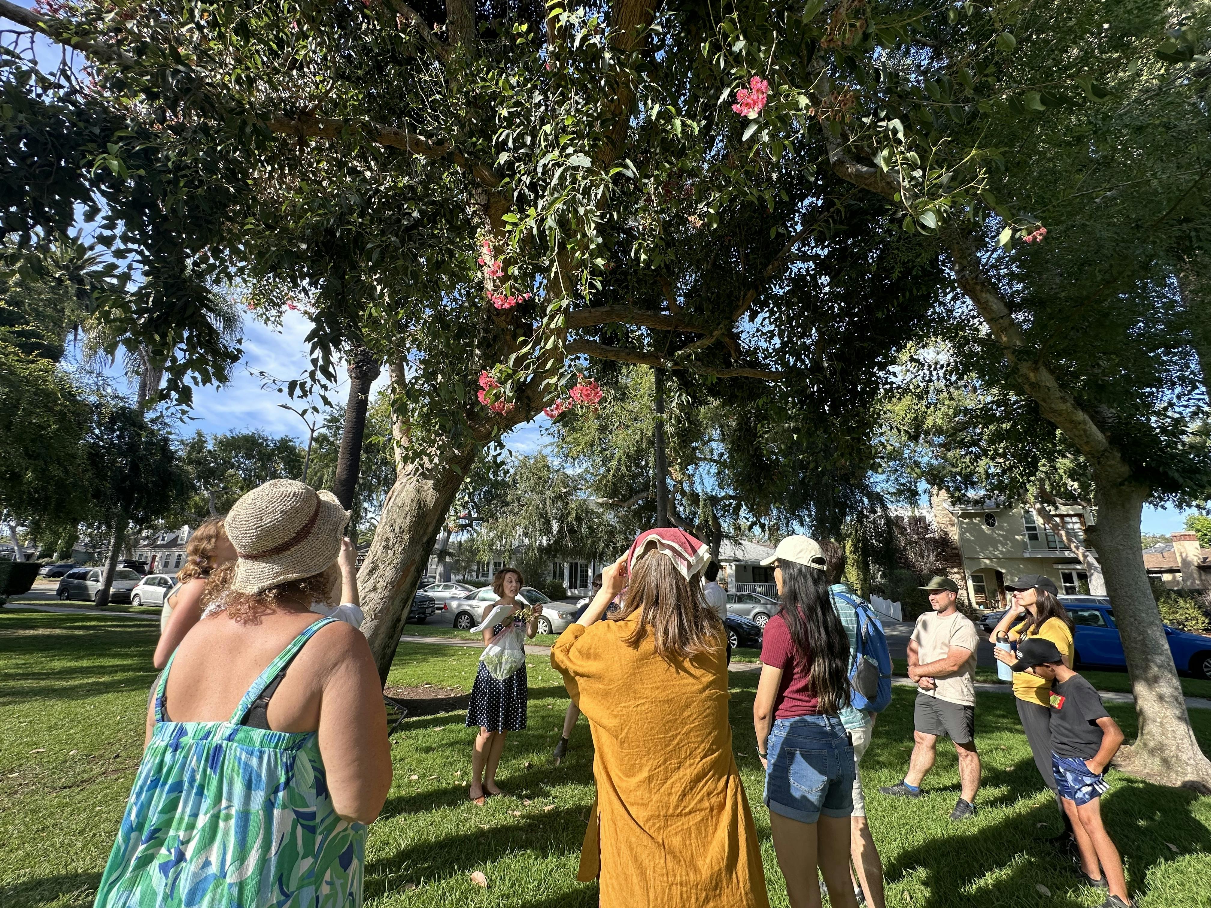 Group of people gathered around Stephanie Carrie who leads the Tree Tour of LA