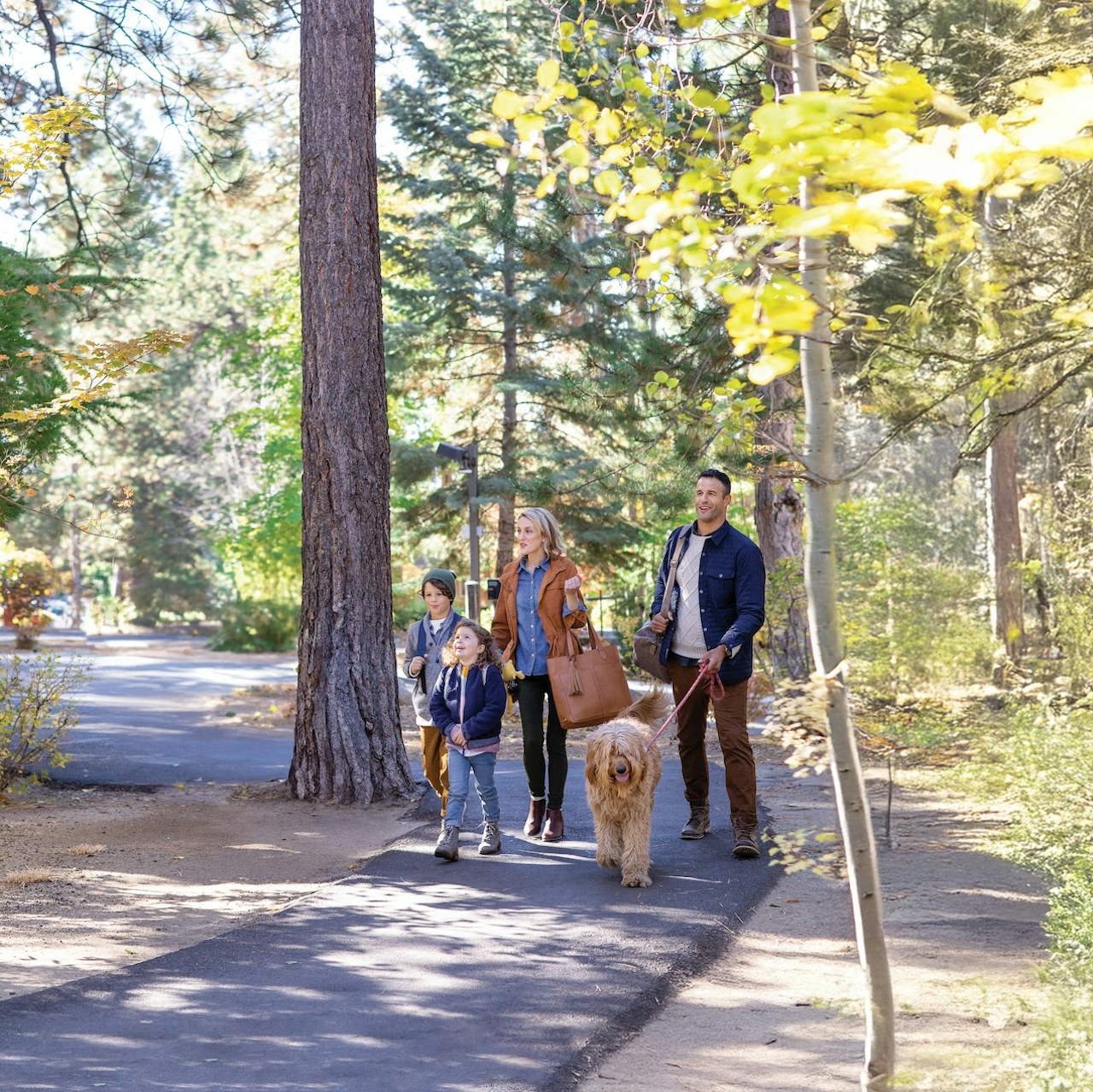 family hike lake tahoe