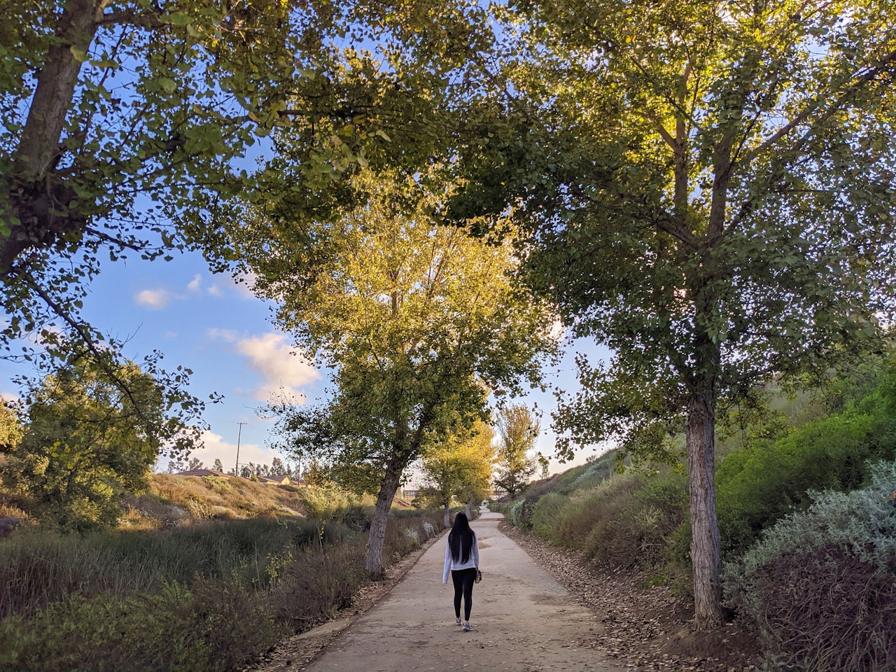 Dominguez Gap Wetlands