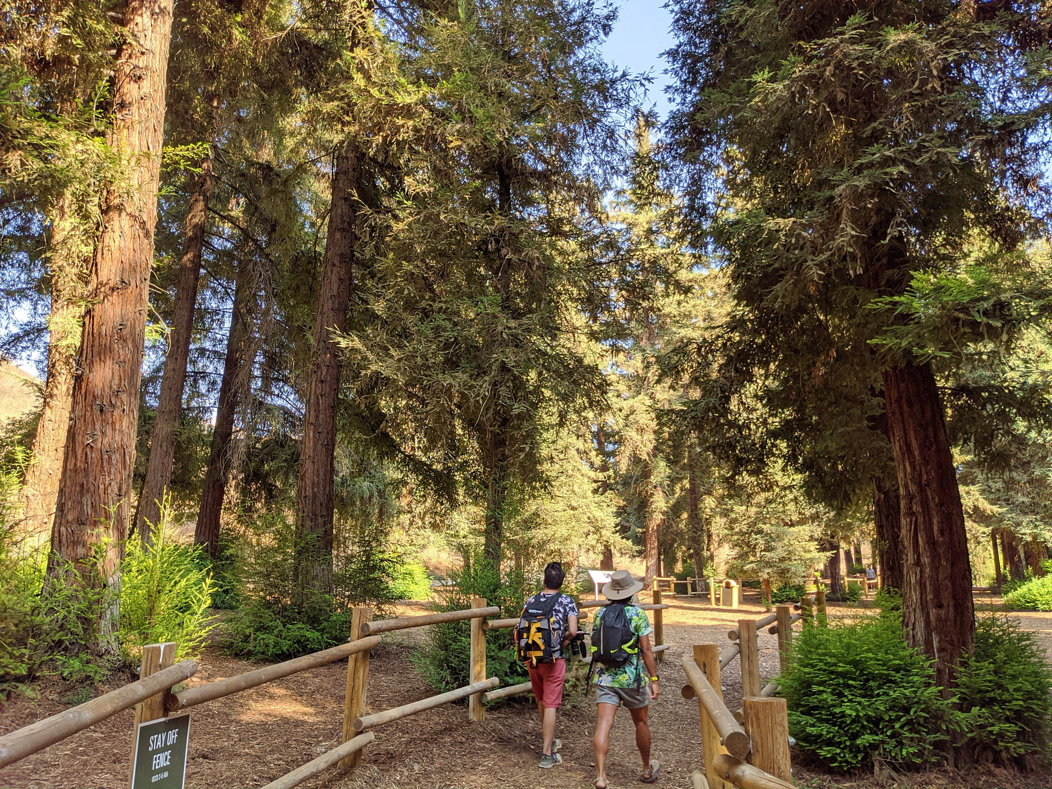 Seed The Day Weekend Sherpa