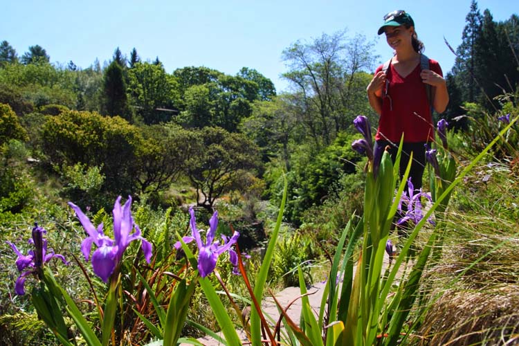 Tilden Botanic Garden