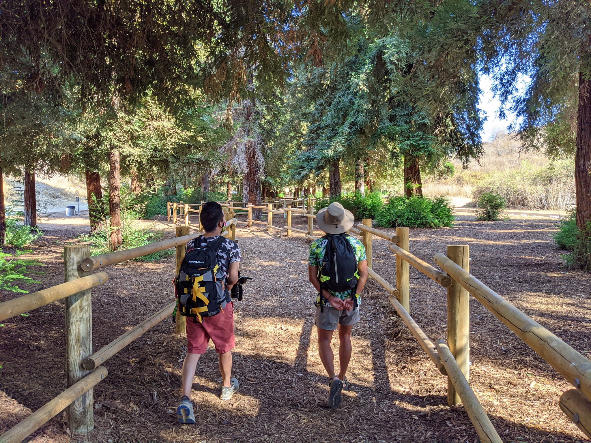 Two hikers among redwoods in Carbon Canyon Regional Park in Orange County 