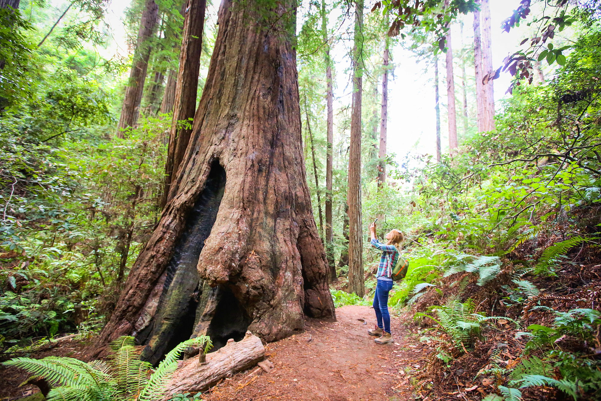 Social Distance Hikes and Bike Rides 