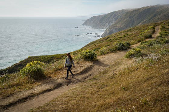 Hike Tomales Point Trail Point Reyes
