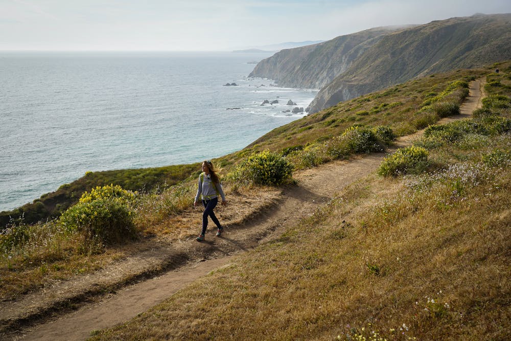 Hike Tomales Point Trail Point Reyes