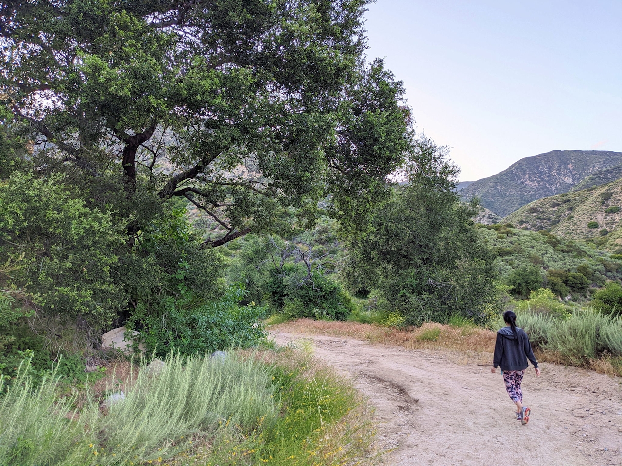 Gould Mesa Trail Camp 