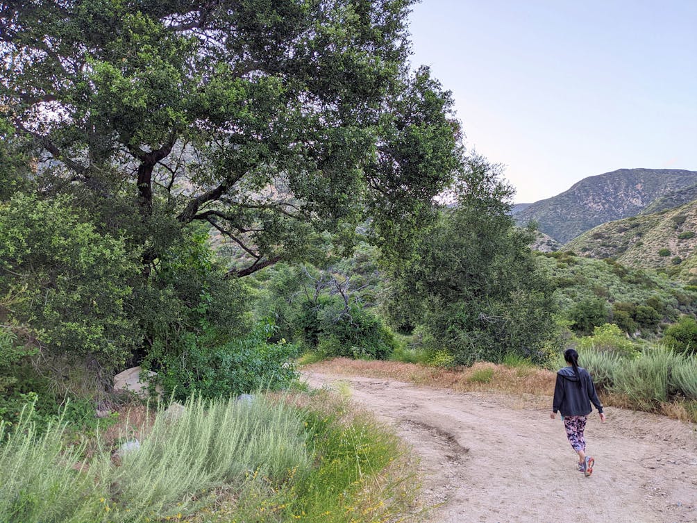 Gould mesa trail clearance camp