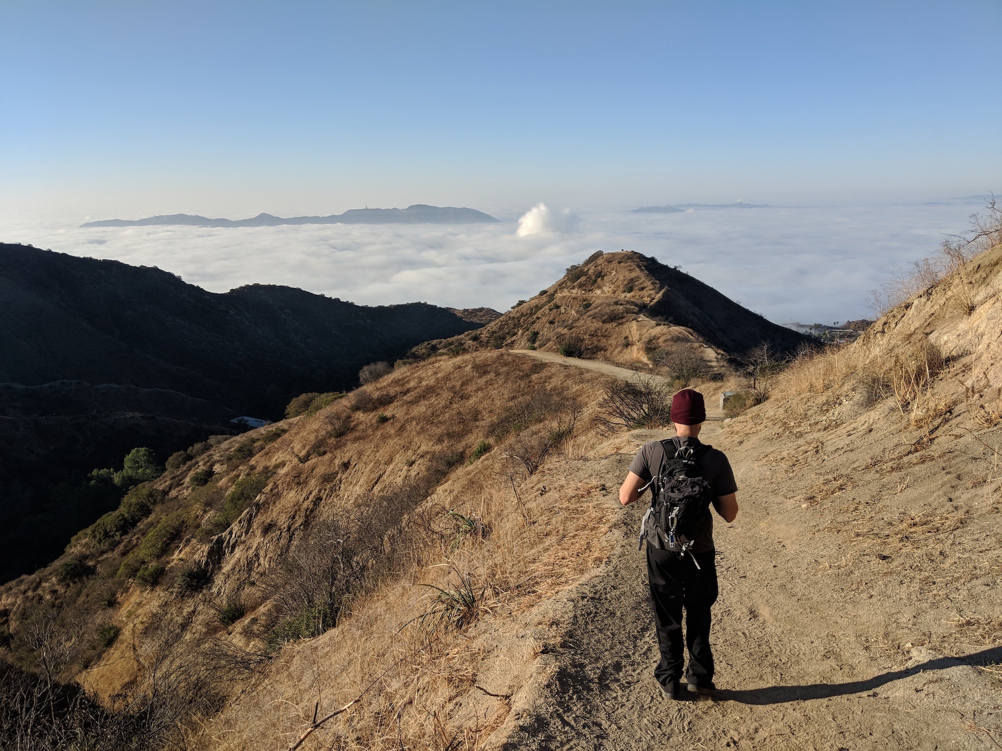 Hiker on a trail at Wildwood Canyon Park in Burbank