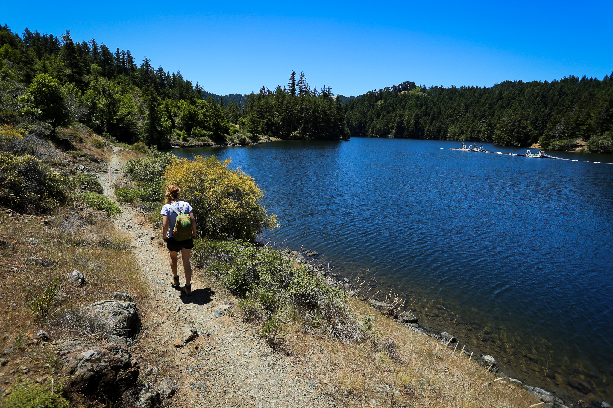 Hike Purisima Creek Redwoods Open Space Preserve near Half Moon Bay 