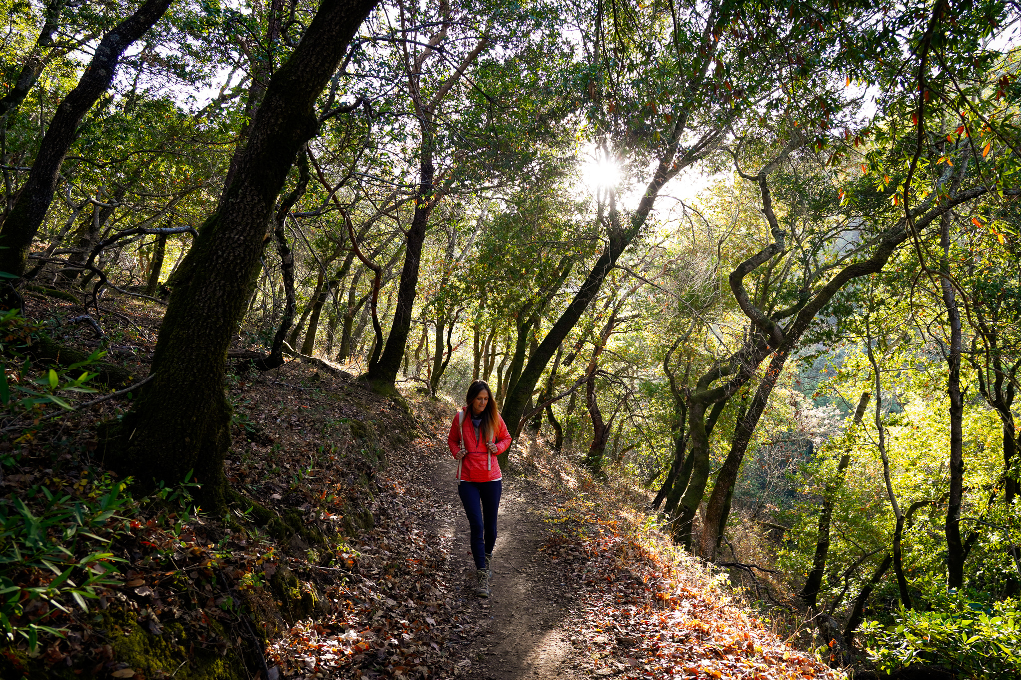 Hike Olompali State Historic Park 