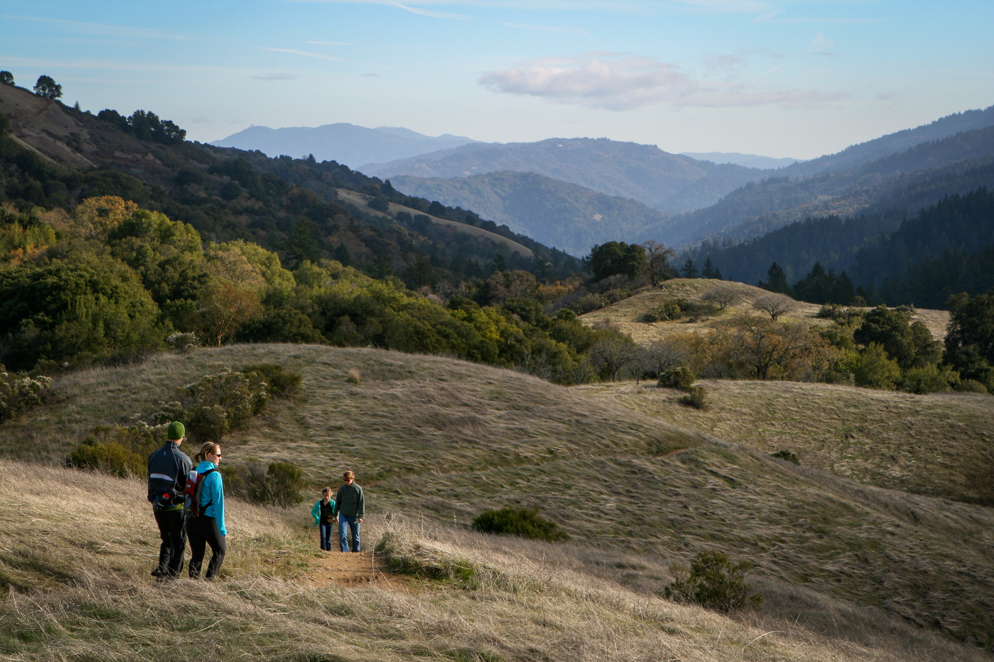 Hike Monte Bello Open Space to Black Mountain