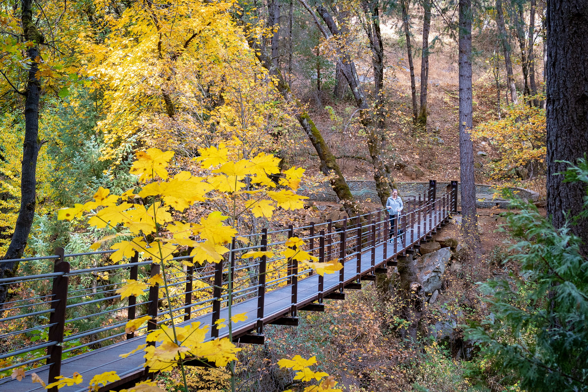 Angkula Seo Suspension Bridge Nisenan Tribute Site Nevada City 