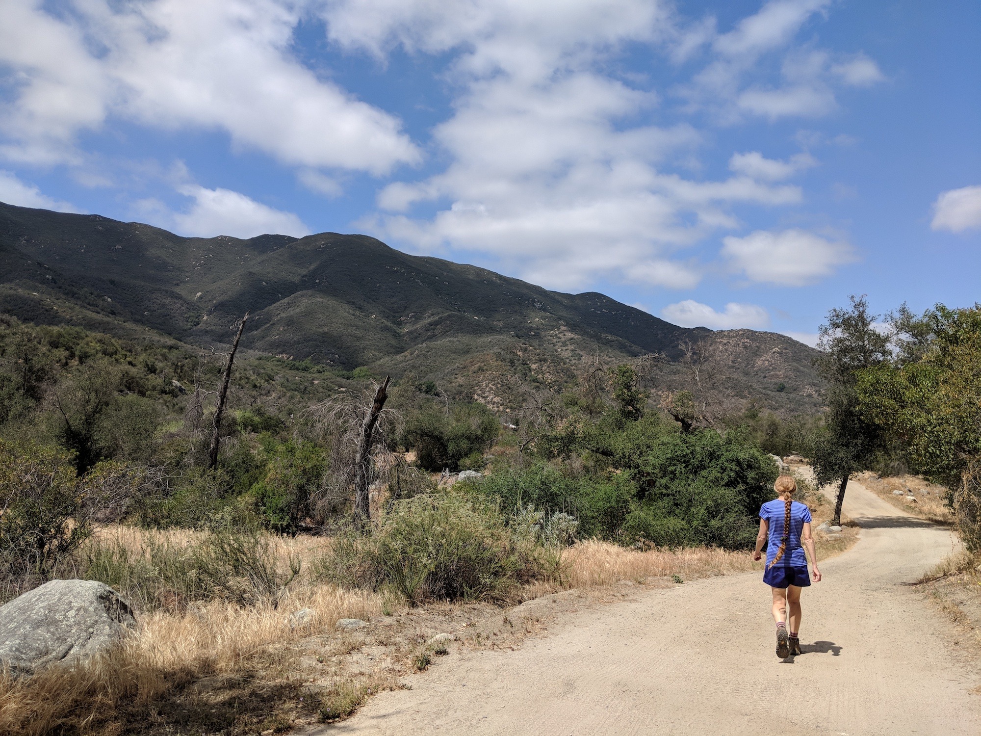 Hike Wilderness Gardens County Park