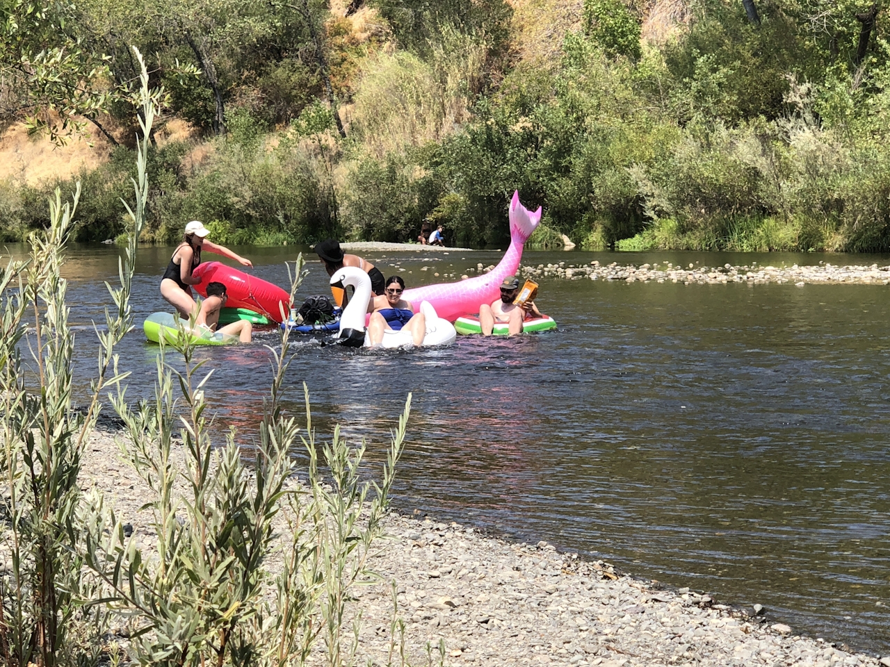 Floaters in floatation tubes going down the Russian River near Healdsburg in Sonoma County 