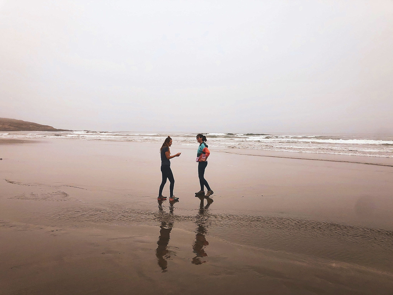 Hike from Bodega Head to Salmon Creek Beach. 