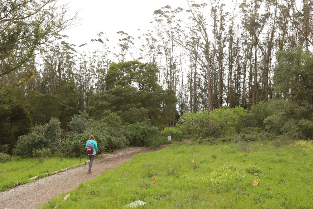 Hiker on a trail at Mount Sutro in San Francisco 