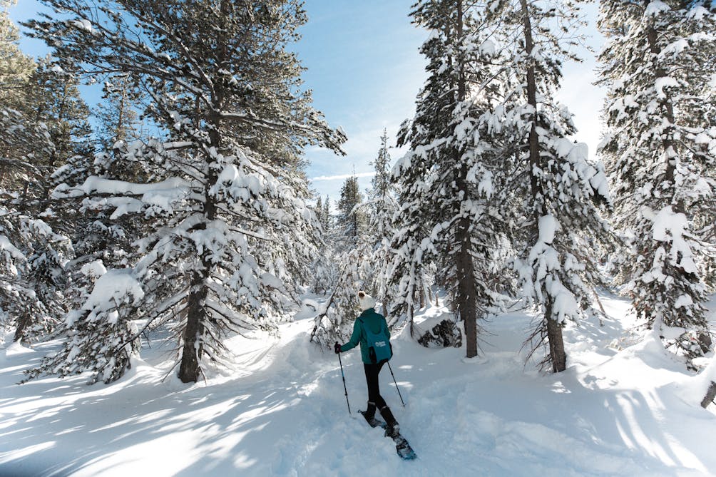 Reno Tahoe snowshoe woman in forest